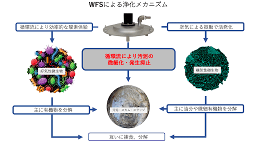 WFSによる浄化メカニズム